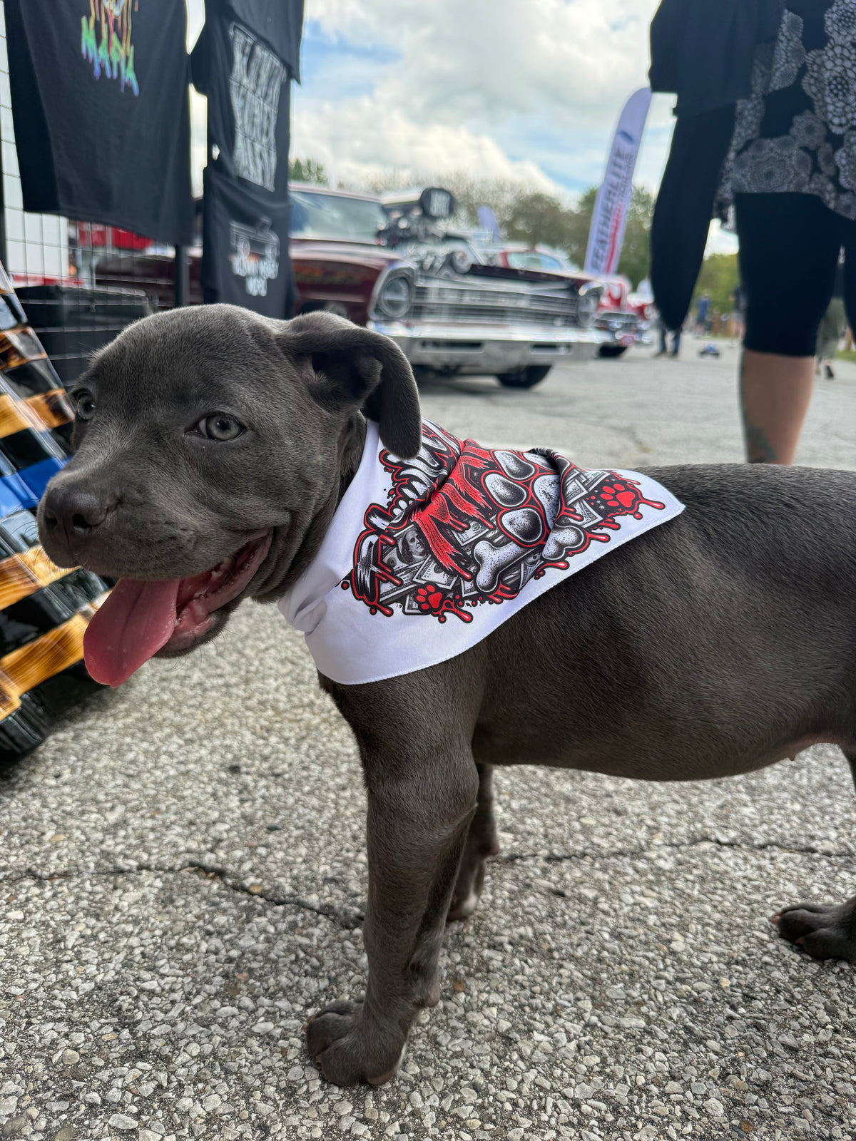BMM Drip Dog Bandana