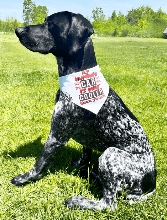 My Human's Car Bandana